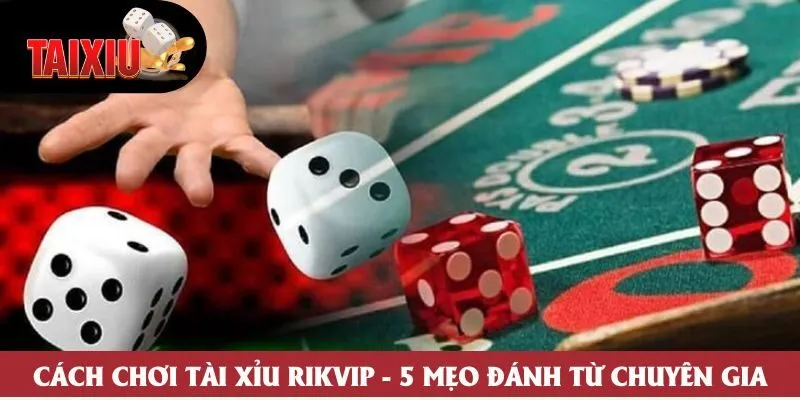 Cách Chơi Tài Xỉu Rikvip - 5 Mẹo Đánh Từ Chuyên Gia