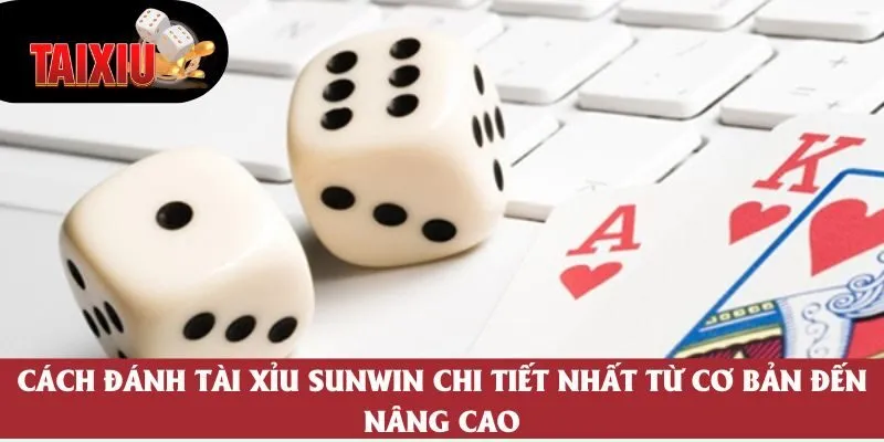 Cách Đánh Tài Xỉu Sunwin Hiệu Quả Cho Người Mới Bắt Đầu