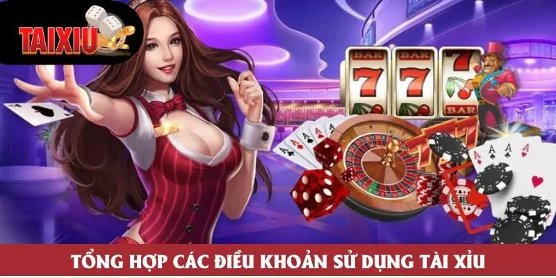 Tổng hợp các điều khoản sử dụng Tài Xỉu Tổng hợp các điều khoản sử dụng Tài Xỉu