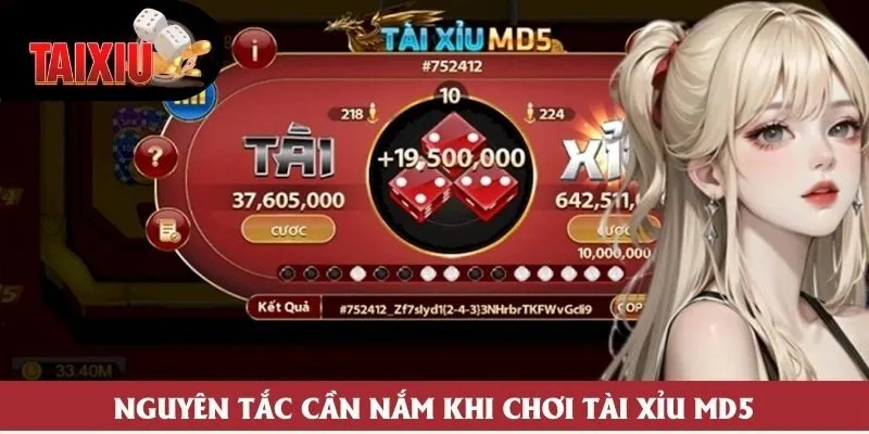 Nguyên tắc cần nắm khi chơi Tài Xỉu MD5 Nguyên tắc cần nắm khi chơi Tài Xỉu MD5