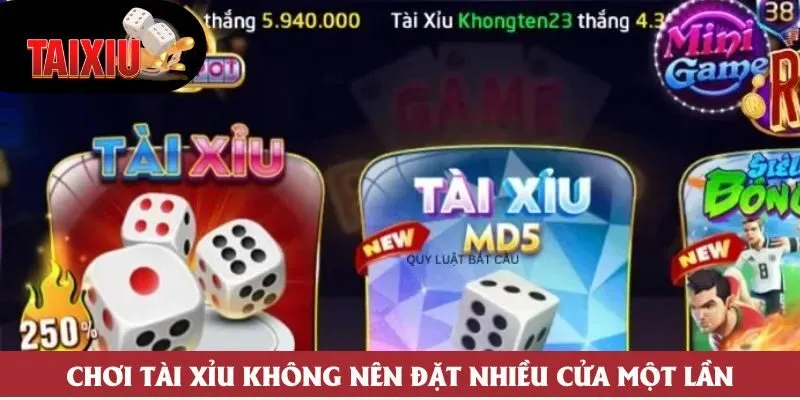 Chơi tài xỉu không nên đặt nhiều cửa một lần Chơi tài xỉu không nên đặt nhiều cửa một lần