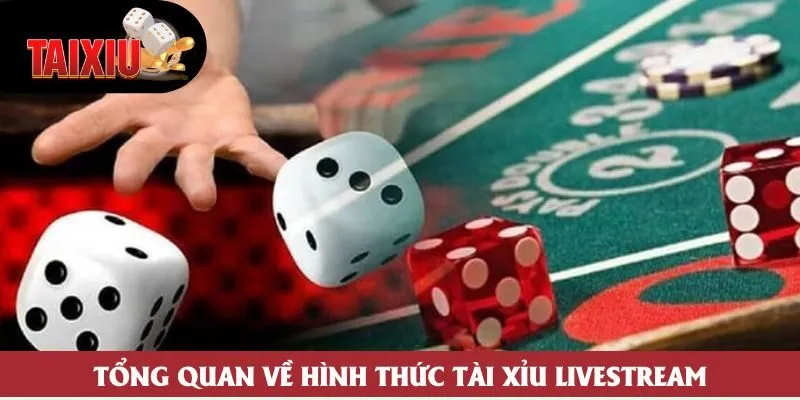 Tổng quan về hình thức tài xỉu livestream Tổng quan về hình thức tài xỉu livestream