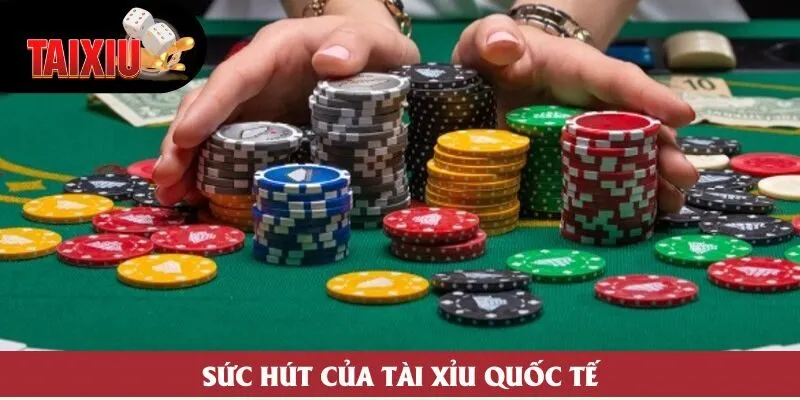 Sức hút của tài xỉu quốc tế Sức hút của tài xỉu quốc tế