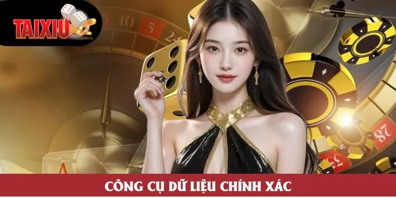 Công cụ dữ liệu chính xác Công cụ dữ liệu chính xác