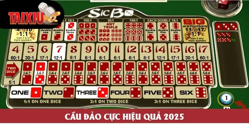Cầu đảo cực hiệu quả 2025 Cầu đảo cực hiệu quả 2025
