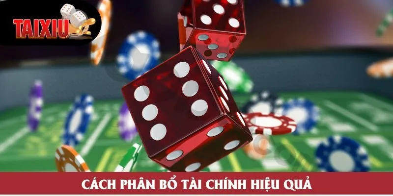 Cách phân bổ tài chính hiệu quả Cách phân bổ tài chính hiệu quả