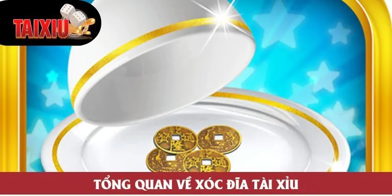Tổng quan về xóc đĩa tài xỉu Tổng quan về xóc đĩa tài xỉu