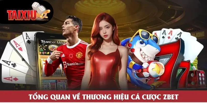 Tổng quan về thương hiệu cá cược Zbet Tổng quan về thương hiệu cá cược Zbet