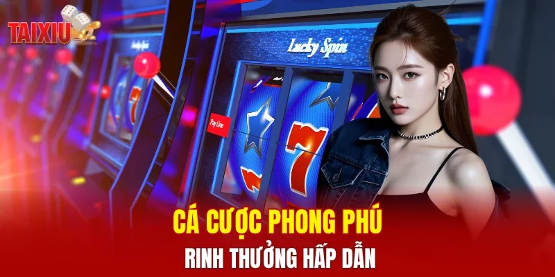 Cá cược phong phú, rinh thưởng hấp dẫn
