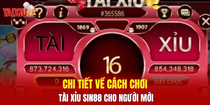 Chi tiết về cách chơi tài xỉu SIN88 cho người mới