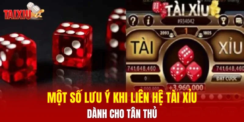 Một số lưu ý khi liên hệ tài xỉu dành cho tân thủ